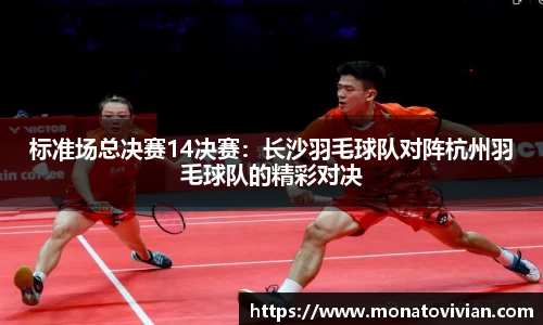 标准场总决赛14决赛：长沙羽毛球队对阵杭州羽毛球队的精彩对决