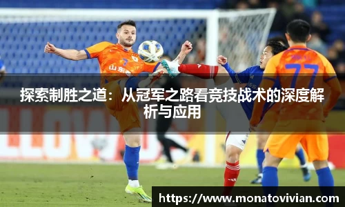 NG体育官网